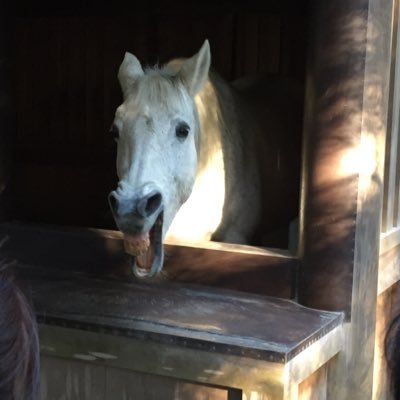 AkkyMood's profile picture. 175 70 40代