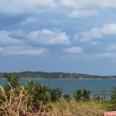 s7RfdCzGKJkLfhR's profile picture. 