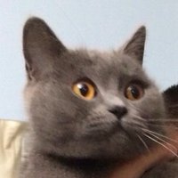 与你 (@nishikori__) Twitter profile photo