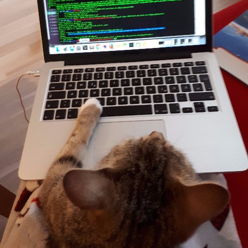 bln_vs's profile picture. Cat lover. Frontend Developer.