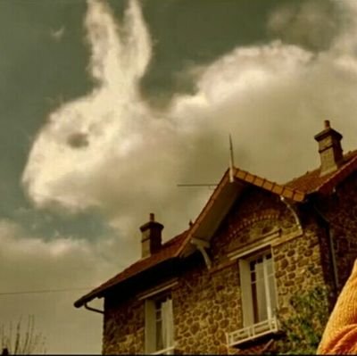 PANDASMILE10's profile picture. 