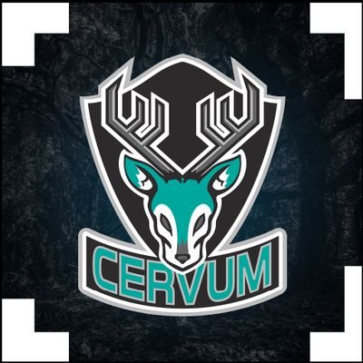 CervumEsports Profile Picture