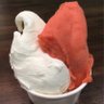 gelato_mondo's profile picture. 裏通りの小さなジェラテリア(アイスクリーム店)。 西荻窪駅北口から徒歩3分。 【火〜土 14〜21時】【日祝 12〜18時】【月/ 定休日】                          店内・店外席有り。テイクアウト可