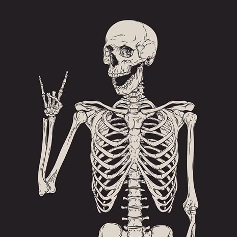 iluvcorvids's profile picture. 