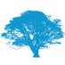 Bio Anth Phylogeny (@bioanthtree) Twitter profile photo Bio Anth Phylogeny (@bioanthtree) Twitter profile photo
