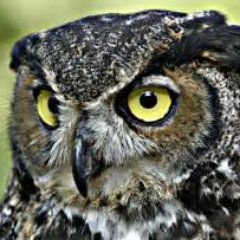 retweeting infosec news | independent | views mine | don't take anything serious | love bob marley songs | PGP id=0x55F0FE27