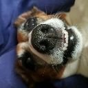 RestonAlex's profile picture. Gaming UK Gaming Gaming News Entertainment