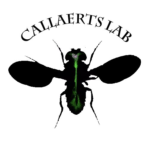 CallaertsLab's profile picture. Twitter of Patrick Callaerts research group, Laboratory of Behavioral and Developmental Genetics, @KU_Leuven. Tweets by Mattias.