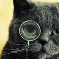 Żaba, czyli gryfno rapitołza⚡ 🐸🐸🐸 (@zaba_z_zielonki) 's Twitter Profile
