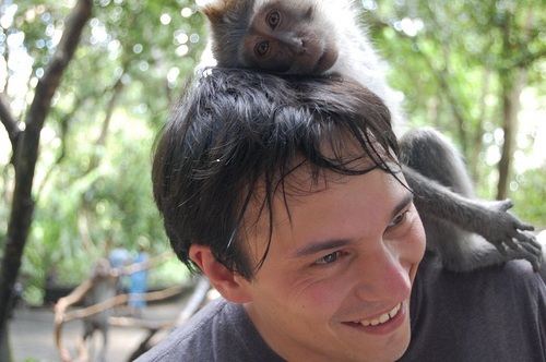 stylemeis's profile picture. Android - WEB - Socialmedia - Social Software - und und und