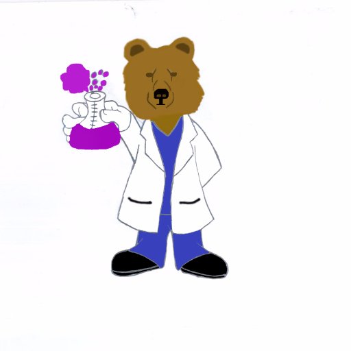 BearExplanation's profile picture. 