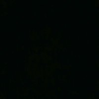 Says No (@celestefayaf) 's Twitter Profile