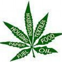 Hemp (@newhempnetwork) 's Twitter Profile