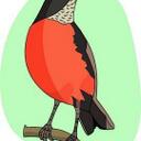 Robin Nelson-Smith - @rockinrobinn - Twitter