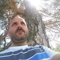 Mustafa Said İşeri (@saidiseri) 's Twitter Profile