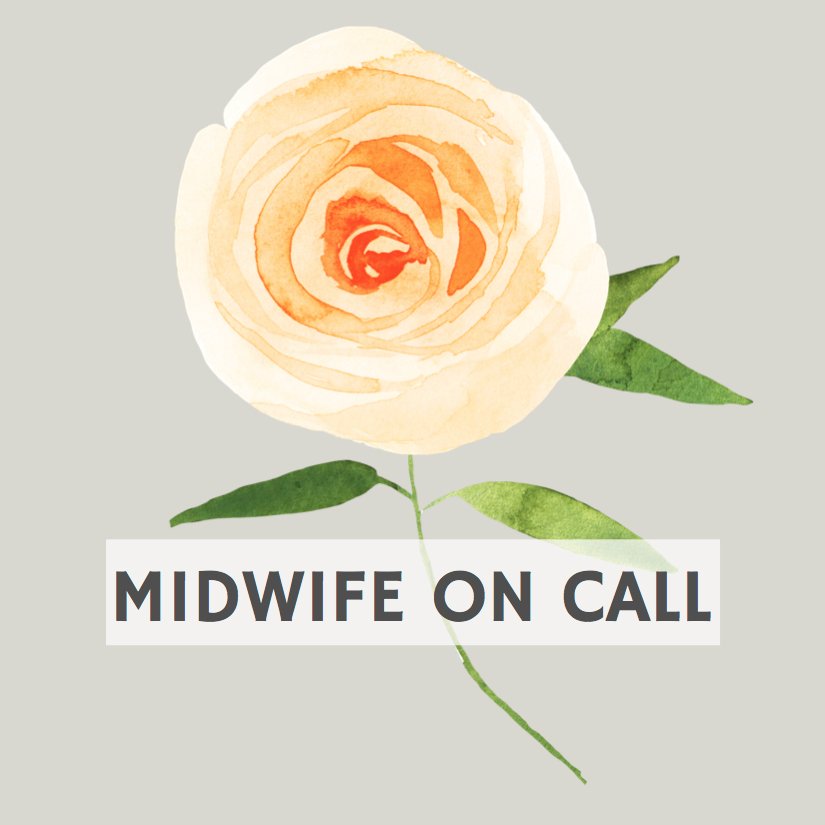 Midwife-N-Making, CNM. This is my journey to midwifery. Labor & Delivery RN, MSN || Doula