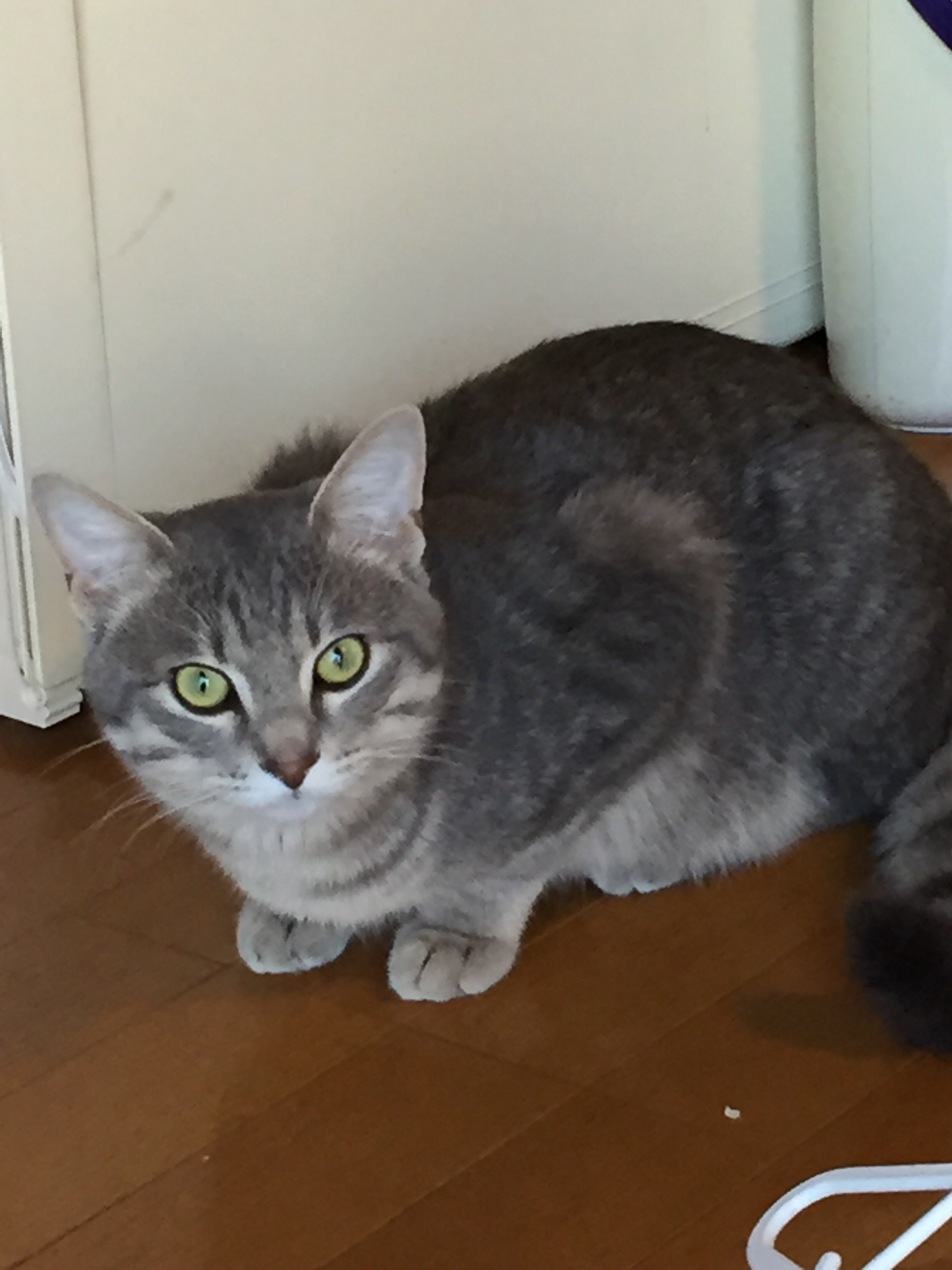 miyumiyu__happy's profile picture. 