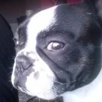 OxiEva (@oxieva) 's Twitter Profile Photo OxiEva (@oxieva) 's Twitter Profile Photo