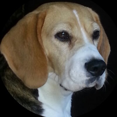 Don27099277's profile picture. 