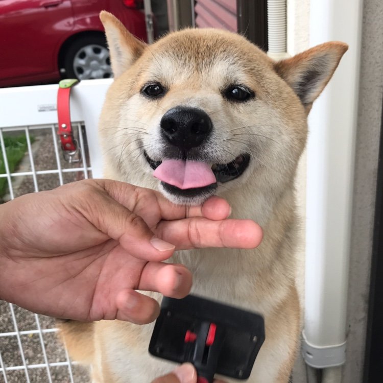 takekimi2's profile picture. たけきみ新アカです。