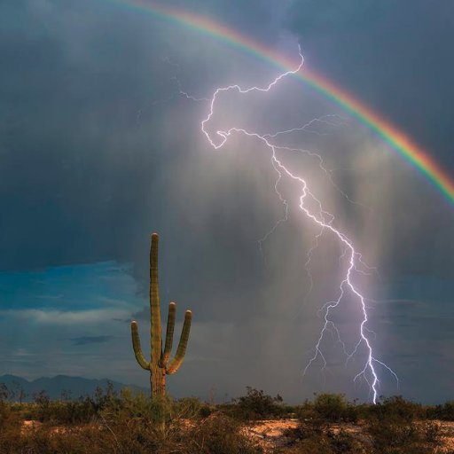 MrsKDonaldson1's profile picture. Christian wife mother. Love plants my children siblings and my husband Wizardrule.