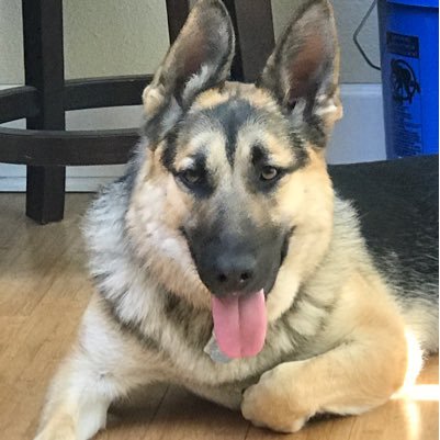 benj67's profile picture. 49ers for life!