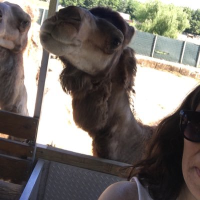 sdsmith91's profile picture. 