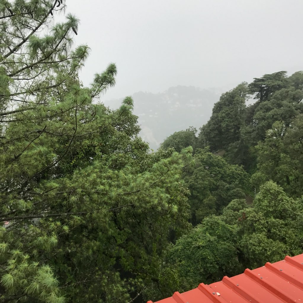 22madhav's profile picture. 