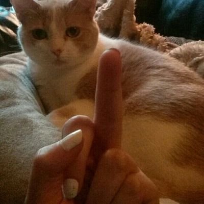 tired_buthappy's profile picture. hm