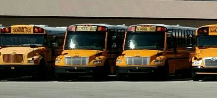 Martinsville Bus
