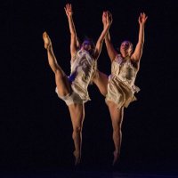 Fóramen M Ballet (@foramenmballet) 's Twitter Profile