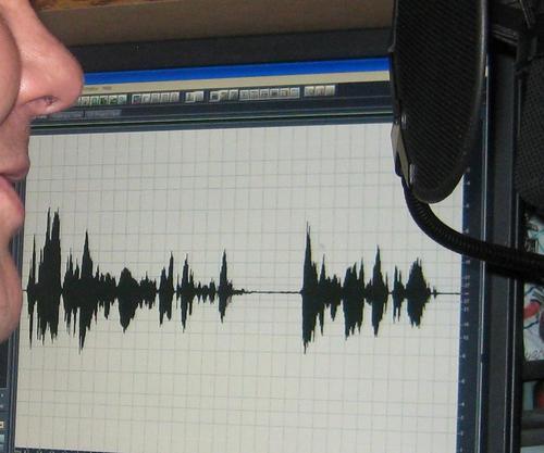 Voice over artist with a specialty in teaching and training.