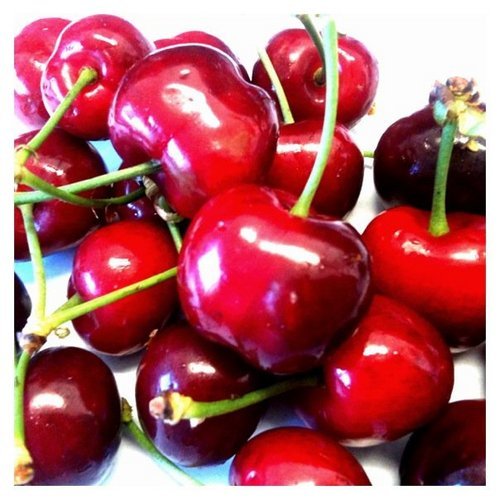 Your Definitive Resource for Brentwood Cherries