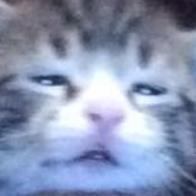 avancre_tn's profile picture. 