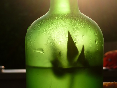 salonq's profile picture. we're here. [fabulous queer meetup every second tuesday night 7-11]