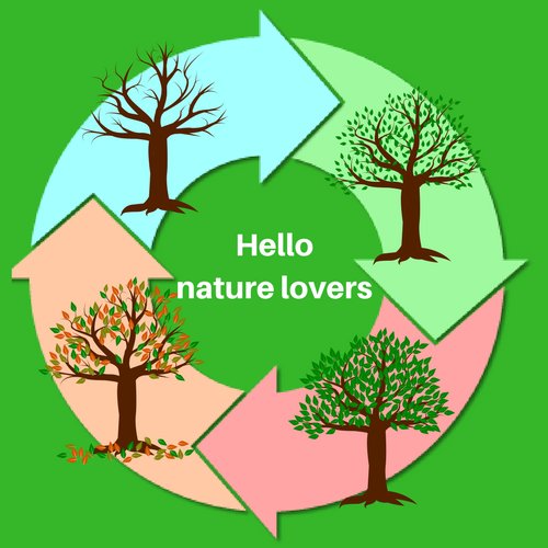 #Educator #Teacher #Writer #NatureLover 🌍🌳 #Use_It 🧠💗 #Be_Happy 😍 #Be_Bright 🌞 #Be_You 🙏