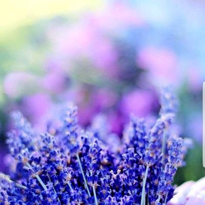 Eman69385511's profile picture. اللهم صل وسلم على نبينا محمد