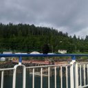 Allen The Raven - @AllenTheRaven - Twitter