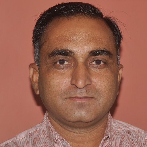Journalist
