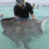 Len Bogarad (@lenbogarad) 's Twitter Profile