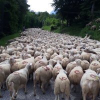 Elisabeth Rojat Lefebvre (@elrojatlefebvre) 's Twitter Profile Photo