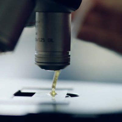 cinemio's profile picture. 