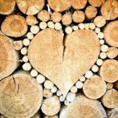 Classyshassy1's profile picture. On-line shopping in the comfort of your own environment 🐾