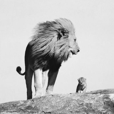 MathieuSanchez's profile picture. 