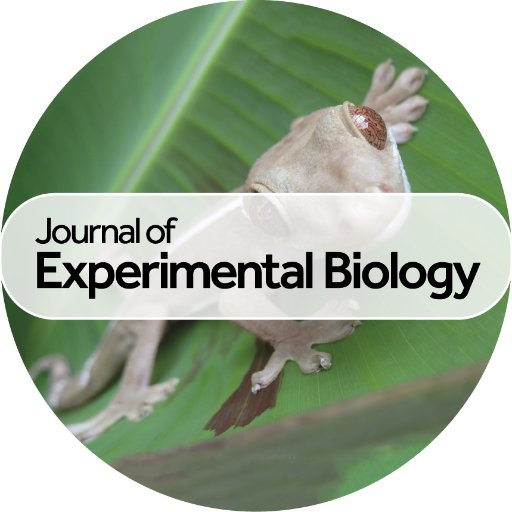 Journal of Experimental Biology is the leading journal in integrative and comparative physiology.