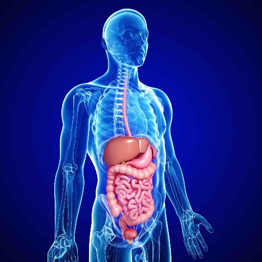 Research and Reports in #Gastroenterology: An Initiative to Connect With You For Gastro Research