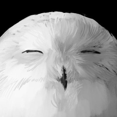 ooacoさんのプロフィール画像