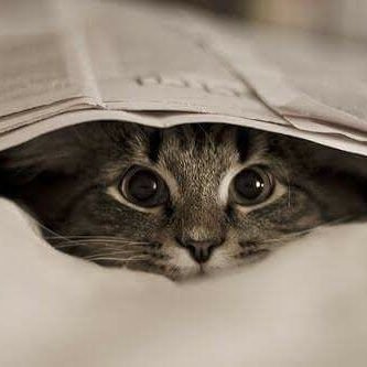 takumi_vn's profile picture. 🇻🇳から来ました! Last dance の 乃木坂４６/ back number / CAPSULE / ELT / w-inds. / SHM。F1!