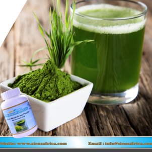 sienspage's profile picture. The Healthy Lifestyle