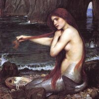 Ariel Kleber (@mllekleber) 's Twitter Profile
